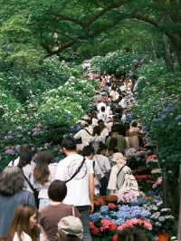 Hasedera Temple – Kamakura