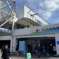 日本で唯一ラッコに会える水族館🦦ꕀ