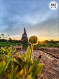 วัดช้าง Unseen ในพระนครศรีอยุธยา