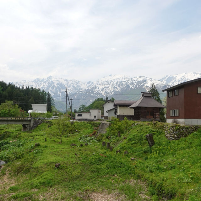 ”Oide Park“ ณ หมู่บ้านฮะคุบะ 🏔️🌲🇯🇵
