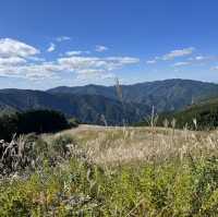 【岩湧山でススキ三昧】 🌾　大阪