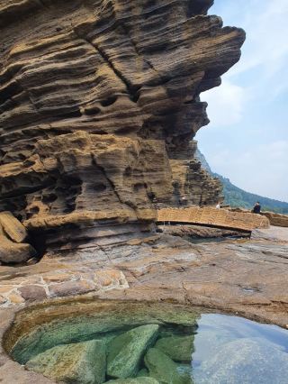 Yongmeori Coast: Where Jeju’s Natural History Comes Alive