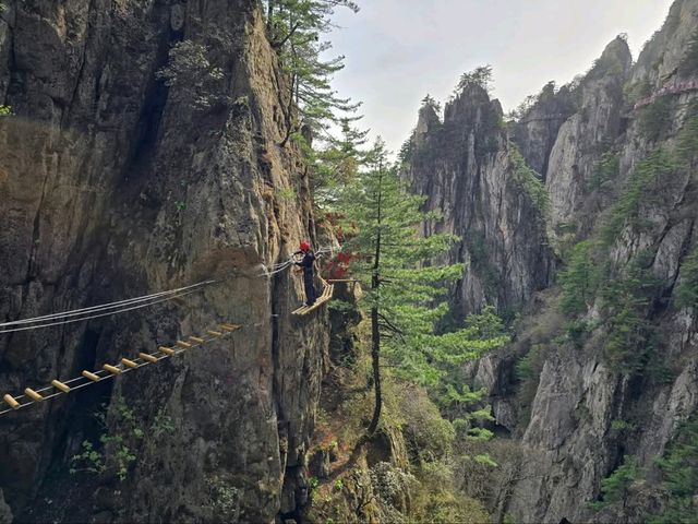 Epic Views, Chill Trails