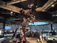 พิพิธภัณฑ์วิทยาศาสตร์ Nagoya City Science Museum: