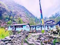 Langtang Village Trek: A Himalayan Gem Beyond the Crowds** 🏔️🙏   