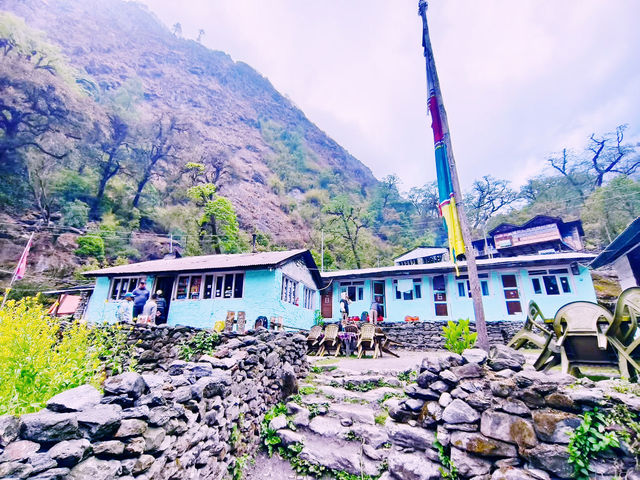 Langtang Village Trek: A Himalayan Gem Beyond the Crowds** 🏔️🙏   