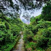Your Chill Escape from the City Hustle