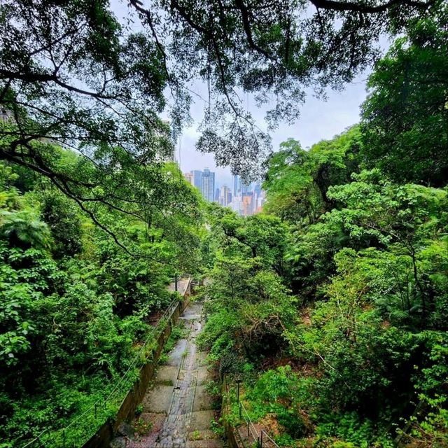 Your Chill Escape from the City Hustle