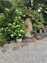 【東京都赤坂🇯🇵報土寺】著名人のお墓や港区の文化財も！歴史を感じるお寺