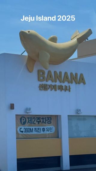 Jeju Island: The Ocean Escape Your Soul Needs 🌊✨