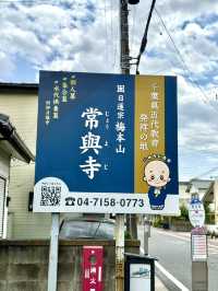 A Slow Day in Nagareyama – Shrines, History & Sweet Treats