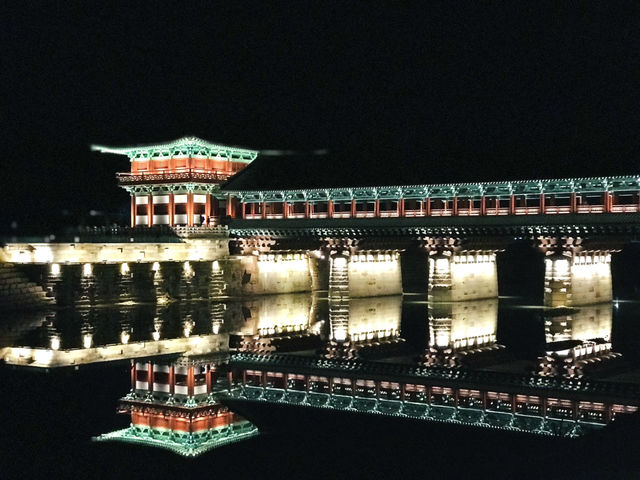 경주 감성 당일치기✨ 감포항부터 안압지 야경까지 알찬 코스