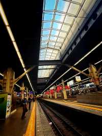 和歌山｜帶來幸福的「吉慶鯛魚列車」 荒廢線路變觀光熱點