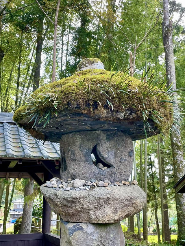 A Peaceful Day in Katsuyama, Fukui 🏯🌿