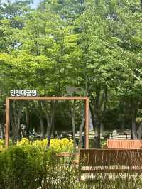 인천대공원 나들이 가보자!