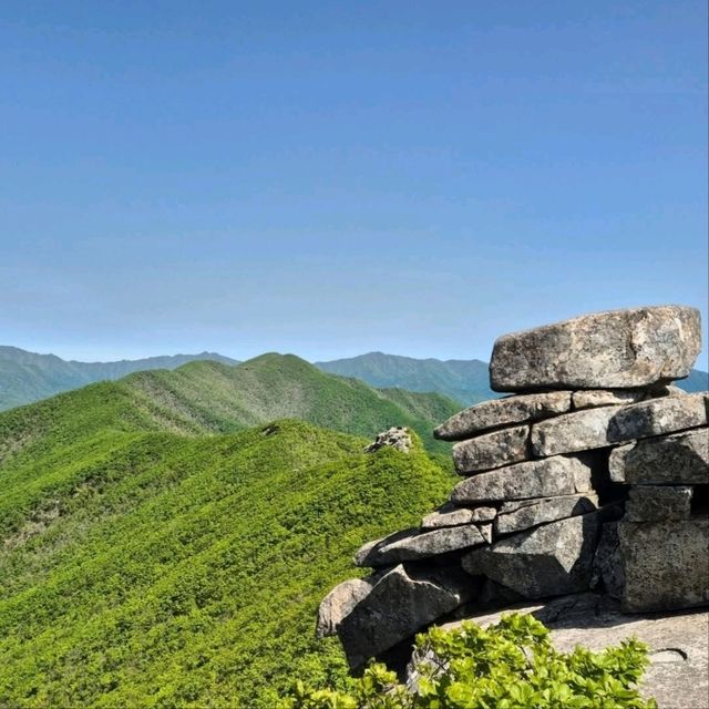 Small Mountain, Big Feels