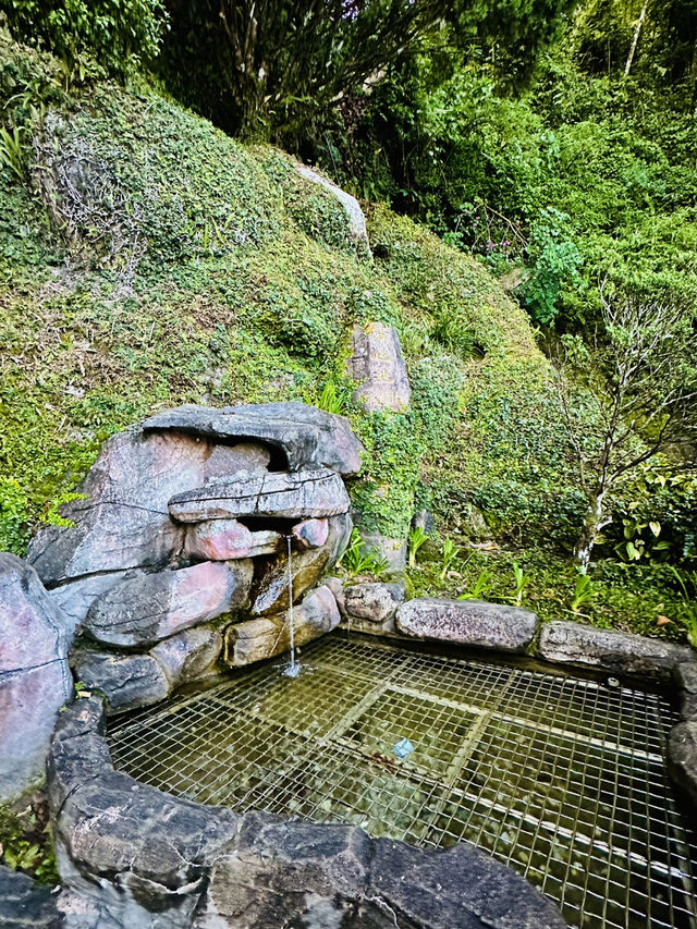 Serenity in the Sky: A Spiritual Escape to Chin Swee Caves Temple