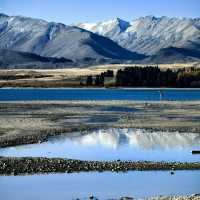 🇳🇿 [New Zealand] Tekapo Travel Notes — Transportation, Accommodation, Souvenirs & Sunset Tips 🌅✨