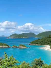 The Caribbean