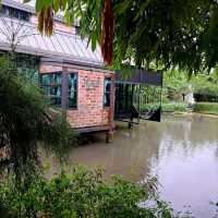 คาเฟ่กลางสวนกุหลาบ -  Fleur Cafe & Eatery