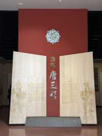 A museum on par with XiAn History Museum