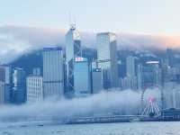 HK Island, a busy, bustling city with so many varied activities to try!