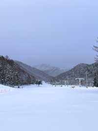 🎿滑雪，然後靜靜看著太陽落下 —— 豬苗代雪地旅記