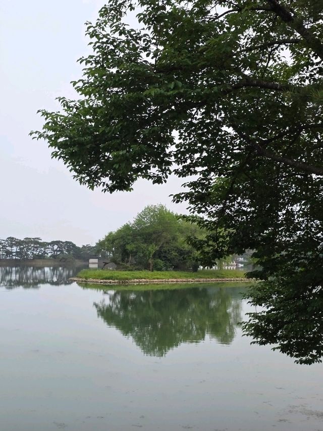 🦆 물멍 & 오리배, 소곤소곤 데이트 타임 