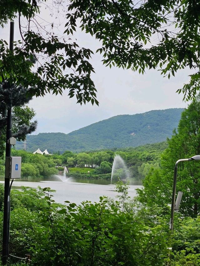 인천대공원 완벽 가이드 🚲🐾
