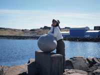 Where Art Meets Nature: The Eggs of Djúpivogur