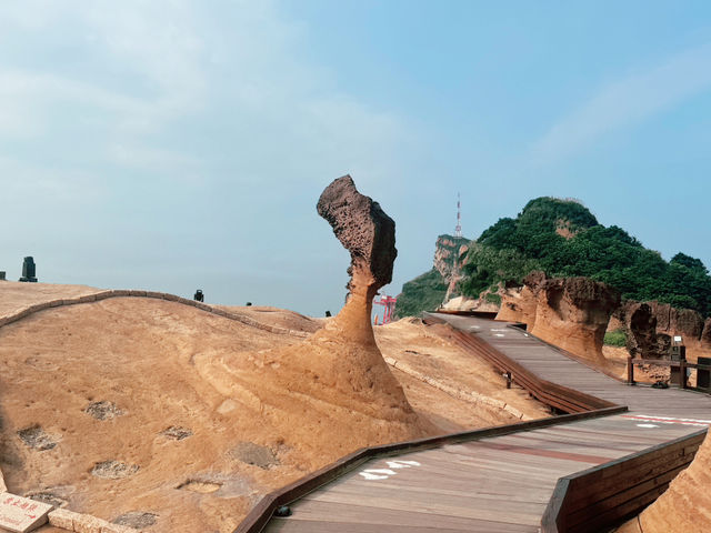野柳地質公園初次探訪｜奇岩美景與酷熱考驗的一天｜寵物友善景點