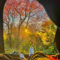 ลานกางเต็นท์สีชมพูฟีลโคตรดี ที่เชียงใหม่ 🌸🏠⛺️