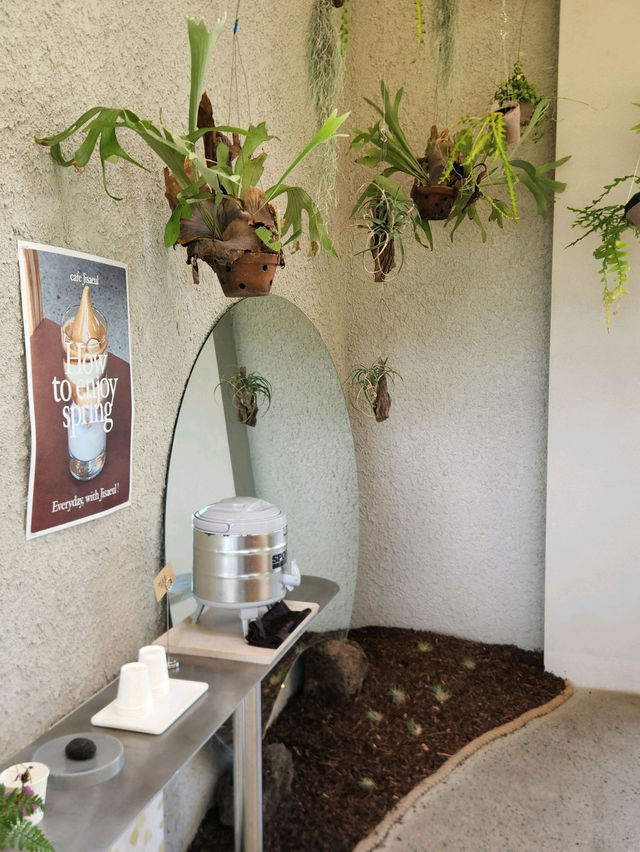 ☺️아산 샤스타데이지 카페 카페지새울🌳