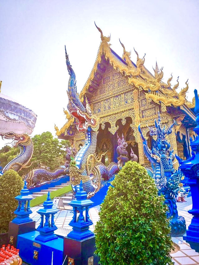アクセス抜群！旅の途中で気軽に立ち寄れる青の絶景スポット💙🛺✨