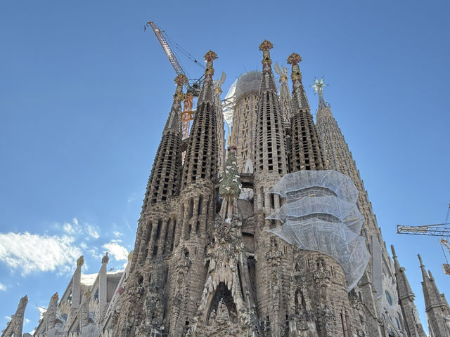🇪🇸に行ってきた！！！
