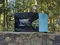 Best of all lookout - The Springbrook National Park
