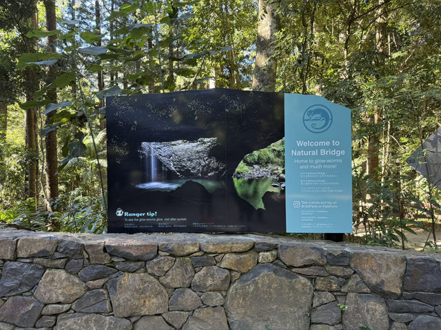 Best of all lookout - The Springbrook National Park