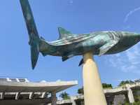 【沖縄】🐠🦈美ら海水族館