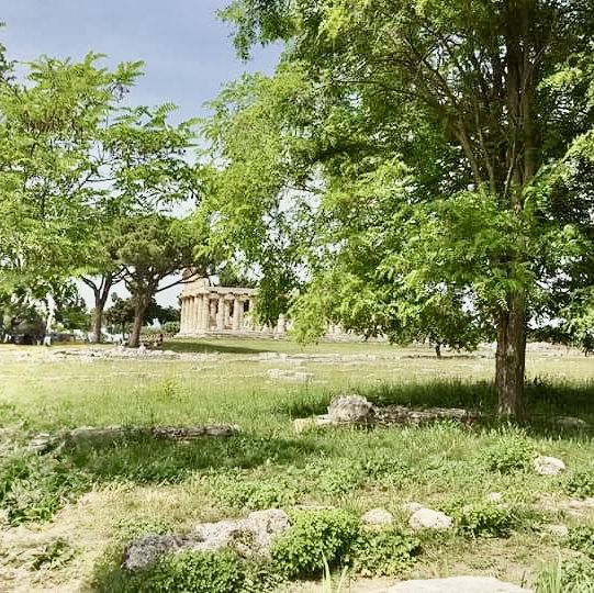 走讀Paestum帕埃斯圖姆