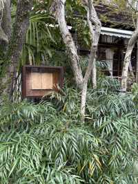 鎌倉のんびりひとり旅はいかがですか？🍃