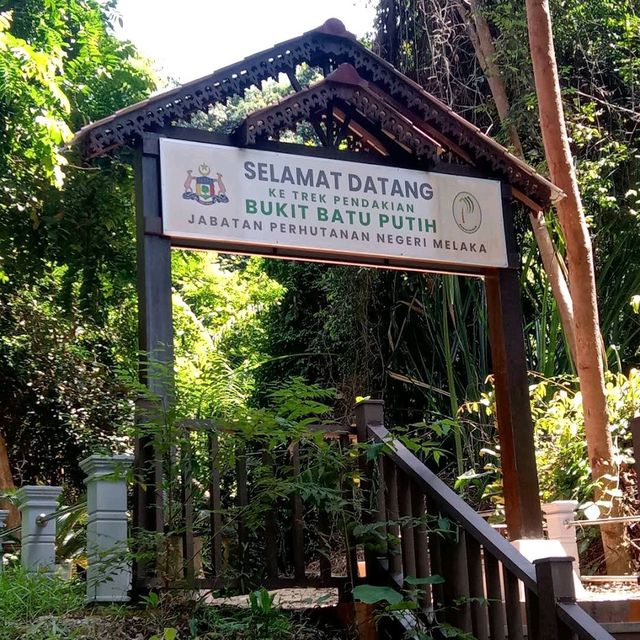 Tanjung Tuan Forest Reserve