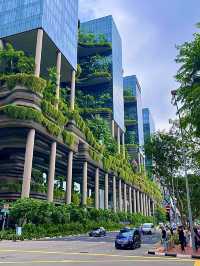 สิงคโปร์🇸🇬