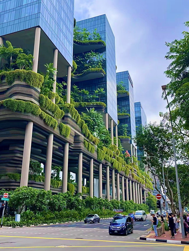 สิงคโปร์🇸🇬