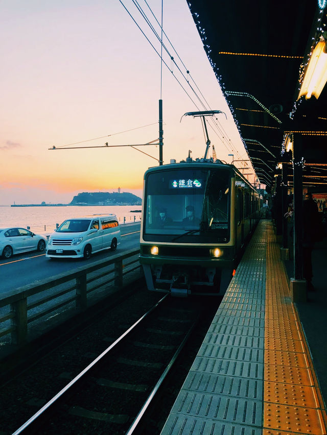 鎌倉🇯🇵湘南海岸