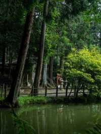 龍神が棲む湖と一生に一度の願い事が叶えられる神社