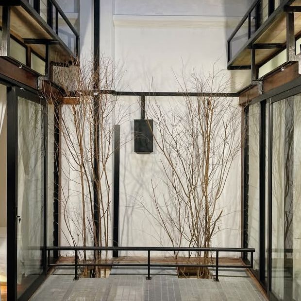 A Hidden Oasis Wrapped in Tradition
