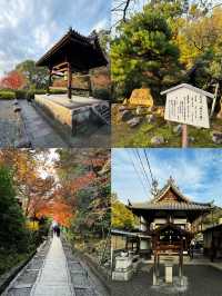 🇯🇵 Kyoto my forever love