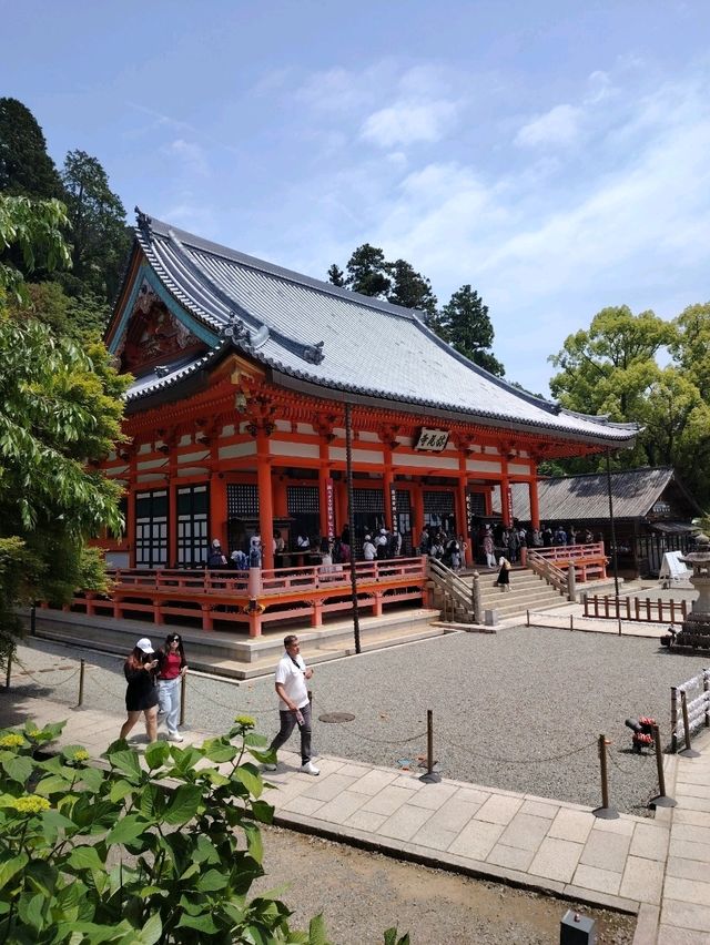 Daruma Temple - Katsuo Ji Osaka 