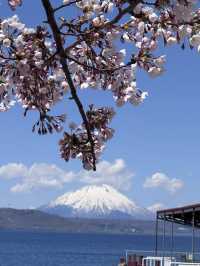 🎯【北海道・洞爺湖】カルデラに抱かれた湖と火山、静かに遊覧日帰り