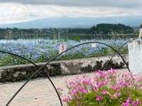 2-Day Fujikawaguchiko Tour: Explore Fuji-Q Highland and the Scenic Four Lakes